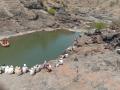 देवीचामाळ येथील बुडालेल्या विद्यार्थ्याचा मृतदेह सापडला - Marathi News | The body of a drowned student was found at Devichamal | Latest nashik News at Lokmat.com