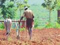 कळवणमध्ये कोरडा दुष्काळ जाहीर करा - Marathi News | Declare a dry famine in Kalwan | Latest nashik News at Lokmat.com