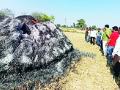 कोटजांभूरा येथे धानाचे पुंजणे जाळले - Marathi News | Paddy burnt at Kotjambura | Latest gondia News at Lokmat.com