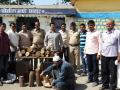एक लाख ४५ हजार रुपयांचे चंदन जप्त - Marathi News | Sandalwood seized of one lakh rupees 45 thousand | Latest jalana News at Lokmat.com