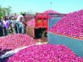 कांदा दर घसरणीने शेतकरी हवालदिल - Marathi News | Farmers worried over falling onion prices | Latest nashik News at Lokmat.com