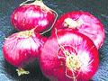 लासलगावी कांदा दरात सुधारणा - Marathi News | Improvement in Lasalgaon onion rates | Latest nashik News at Lokmat.com