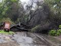 झाडे उन्मळून पडल्याने यंत्रणेवर ताण - Marathi News | nashik,tension,on,the,system,due,to,falling,trees | Latest nashik News at Lokmat.com