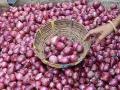येवला बाजार समितीत लाल कांद्याची आवक वाढली - Marathi News |  The arrival of red onion in the Yeola Bazar Committee increased | Latest nashik News at Lokmat.com