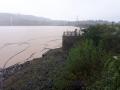 त्र्यंबकेश्वर तालुक्यात ३६ तासांत ३००मिमी पावसाची नोंद - Marathi News |  300 mm rainfall in 36 hours in Trimbakeshwar taluka | Latest nashik News at Lokmat.com