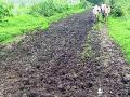 रामपूर-वाई रस्ता चिखलात हरविला - Marathi News | Rampur-y road lost in mud | Latest vardha News at Lokmat.com