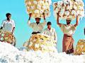 कापूस खरेदीची शेतकऱ्यांना प्रतीक्षा - Marathi News | Farmers waiting to buy cotton | Latest yavatmal News at Lokmat.com