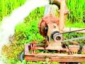 सात हजार कृषिपंप वीज पुरवठ्याच्या प्रतीक्षेत - Marathi News | Seven thousand agricultural pumps waiting for power supply | Latest yavatmal News at Lokmat.com