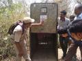 बिबट्यामुळे चंद्रपूर जिल्ह्यातील गडबोरी गाव राहते रात्रभर जागे - Marathi News |  Due to leopard, Gadbhori village of Chandrapur district remains awake overnight | Latest chandrapur News at Lokmat.com