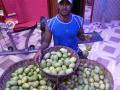 पावसाळा संपण्यापूर्वीच कैऱ्या बाजारात - Marathi News | Before the end of the monsoon season mango in market | Latest goa News at Lokmat.com