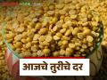 Tur Bajarbhav : आज राज्यभरात तुरीला किती मिळाला दर? जाणून घ्या सविस्तर - Marathi News | maharashtra market yard Tur Bajarbhav How much did turi get in the state today | Latest agriculture News at Lokmat.com