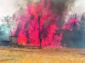 तिवसा तालुक्यातील चार गावांना आगीचा वेढा - Marathi News | Fire at four villages in Tivasa taluka | Latest amravati News at Lokmat.com