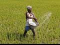 नायगाव परिसरात शेतकऱ्यांना मार्गदर्शन - Marathi News | Guidance to farmers in Naigaon area | Latest nashik News at Lokmat.com