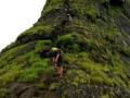त्र्यंबकेश्वर तालुक्यातील हरिहर किल्ला तीन महिने पर्यटकांना बंद ! - Marathi News |  Harihar fort of Trimbakeshwar taluka is closed for three months for tourists! | Latest nashik News at Lokmat.com