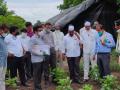 कृषी विभागाच्या प्रधान सचिवांकडून पीक पाहणी - Marathi News | Crop inspection by the Principal Secretary, Department of Agriculture | Latest nashik News at Lokmat.com