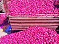 कांद्याचा वाढला भाव - Marathi News | Increased prices of onions | Latest nashik News at Lokmat.com