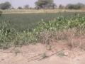 पाणी टंचाईमुळे खाजगी विहीरीकेल्या अधिग्रहित - Marathi News | Acquisition of Private Villiers due to water scarcity | Latest nashik News at Lokmat.com