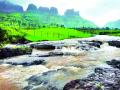 भुरळ घालतंय नाशिकचं ‘कोकण’ - Marathi News | Nashik's 'Konkan' | Latest nashik News at Lokmat.com