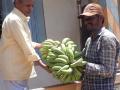 प्रकाशा येथे शेतकऱ्याकडून केळीचे घड वाटप - Marathi News | Distribution of bananas from the farmer at Prakash | Latest nandurbar News at Lokmat.com