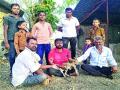 कुत्र्यांच्या हल्ल्यातून वाचविले पाडसाचे प्राण - Marathi News | Padassa rescues from dog attacks | Latest nashik News at Lokmat.com