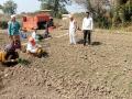फेब्रुवारीतही कांदा लागवड सुरूच ! - Marathi News |  Onion planting begins in February too! | Latest nashik News at Lokmat.com