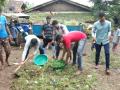 परिसरातील ग्रामस्वच्छतेसाठी सरसावले पहुचीबारीकर ! - Marathi News | Sarasavale Pahuchibarikar for village cleanliness in the area! | Latest nashik News at Lokmat.com