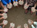 पर्यावरण संवर्धनासाठी विद्यार्थी तयार करणार सीड बॉल  - Marathi News | Seed balls will be prepared by students for environmental conservation | Latest nashik News at Lokmat.com