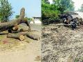 रस्त्यालगतची लाकडे ठरताहेत जीवघेणी - Marathi News | Road to wood | Latest vardha News at Lokmat.com