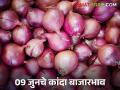 Kanda Market : लासलगाव, पिंपळगावसह सोलापूर बाजारात कांद्याला चमक आली, वाचा आजचे दर - Marathi News | Latest News Kanda Market Onion rate shines in Solapur Lasalgaon, Pimpalgaon onion mandi | Latest agriculture News at Lokmat.com