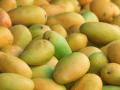नागपुरात आवक घटल्याने आंबा खातोय भाव - Marathi News | Due to the storm less mangoes in Nagpur market | Latest nagpur News at Lokmat.com