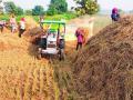दिवाळी सणासाठी शेतकऱ्यांचा धान व्यापाऱ्यांच्या दारात - Marathi News | Farmers' grain at the door of traders for Diwali | Latest bhandara News at Lokmat.com