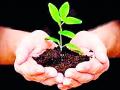 वृक्षारोपण मोहिमेला ग्रा.पं.चा अडथळा - Marathi News | Grampanchayat barrier to plantation campaign | Latest chandrapur News at Lokmat.com