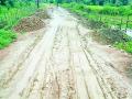 सूर्यापल्ली भागातील रस्ते चिखलमय - Marathi News | Roads in Suryapalli area are muddy | Latest gadchiroli News at Lokmat.com