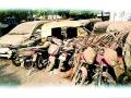 काेट्यवधी रुपयांच्या या बेवारस वाहनांचे कारायचे काय? - Marathi News | What to do with these useless vehicles worth hundreds of rupees? | Latest gadchiroli News at Lokmat.com