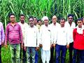 धानाच्या उत्पादनापेक्षा ऊसाचे उत्पादन चारपट अधिक - Marathi News | Production of sugarcane four times more than the rice production | Latest gondia News at Lokmat.com