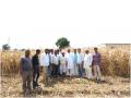 पाशा पटेल यांचा चांदवड तालुका दुष्काळी पाहणी दौरा - Marathi News | Pasha Patel's Chandwad taluka's Drought Study Visit | Latest nashik News at Lokmat.com