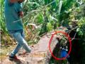 विहिरीत पडलेल्या सापांना जीवदान - Marathi News | Rescue the snakes that fell into the well | Latest nandurbar News at Lokmat.com