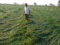 जिल्ह्यात मुसळधार पावसामुळे पिके जमीनदोस्त - Marathi News | Demand for panchnama; Wheat, gram, maize, chilli hit hardest in district due to torrential rains | Latest nandurbar News at Lokmat.com