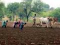 परभणी : पेरणीपूर्व मशागतीत शेतकरी व्यस्त - Marathi News | Parbhani: Farmers busy in sowing season | Latest parabhani News at Lokmat.com