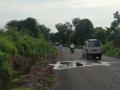 साकोरा-नांदगाव रस्त्यावर झाड कोसळले - Marathi News | A tree fell on the Sakora-Nandgaon road | Latest nashik News at Lokmat.com