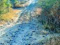 चिंचमंडळ-महादापेठ रस्त्याची दुरावस्था - Marathi News | Dangers of Chinchandamand-Mahadpeth Road | Latest yavatmal News at Lokmat.com
