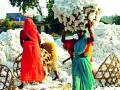 शासकीय कापूस खरेदीत व्यापाऱ्यांचा डल्ला - Marathi News | Traders' Bucket for Government Cotton Buying | Latest yavatmal News at Lokmat.com