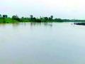 जिल्ह्यात दिवसभर संततधार - Marathi News | Throughout the day, the Santatdhar in the district | Latest yavatmal News at Lokmat.com