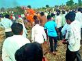 दोन घासाच्या शोधात मृत्यूनेच घेतला घास - Marathi News | Weed grass in search of two grasses | Latest yavatmal News at Lokmat.com