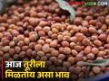 Market Yard: राज्यात आज तूरीला सर्वाधिक भाव या बाजारसमितीत मिळतोय.. - Marathi News | | Latest agriculture News at Lokmat.com