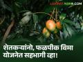 Crop insurance : फळपीक विमा योजना लागू! अर्ज करण्याची 'ही' आहे अंतिम मुदत - Marathi News | horticulture Crop insurance deadline to apply for crop insurance scheme | Latest agriculture News at Lokmat.com
