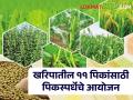 Crop Competition: खरिपात उत्पादन जास्त काढा अन् कृषी विभागाकडून बक्षिस मिळवा! पिकस्पर्धेचे आयोजन - Marathi News | Crop Competition Organization of intra-state crop competition for food grains, pulses and pulses by the Department of Agriculture. | Latest agriculture News at Lokmat.com