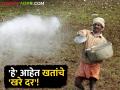 किती वाढल्या रासायनिक खतांच्या किंमती? किती आहेत खरे दर? जाणून घ्या सविस्तर - Marathi News | | Latest agriculture News at Lokmat.com