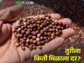 जाणून घ्या आजचे सविस्तर तुरीचे दर - Marathi News | maharashtra agriculture farmer todays tur market rates | Latest agriculture News at Lokmat.com