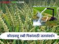 Rabi Crops : कोरडवाहू रब्बी पिकांच्या चांगल्या उत्पादनासाठी 'असे' करा जलसंवर्धन  - Marathi News | Rabi Crops water management hydroponics for better production of dryland rabi crops  | Latest agriculture News at Lokmat.com